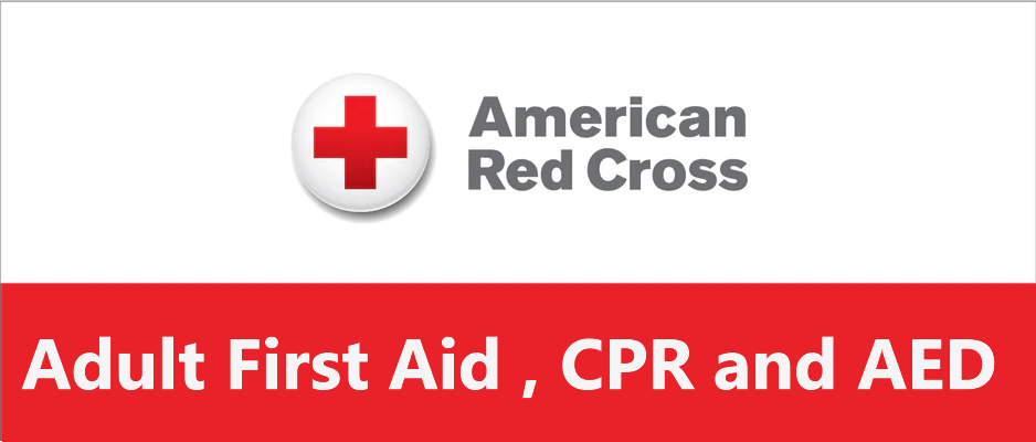 (RED CROSS) Adult First Aid/CPR/AED Certificate