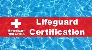 Lifeguarding Certification Blended Learning